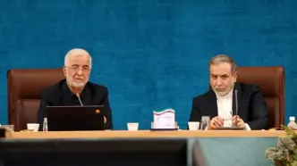 حمایت عراقچی از دیپلماسی استانی