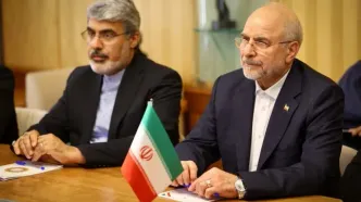 قالیباف: ایرانیان خارج  هم باید به خدمات عمومی و پنجره واحد دسترسی داشته باشند