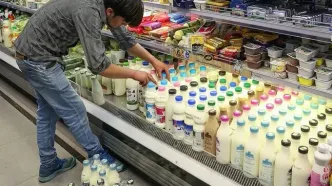 لبنیات دوباره گران