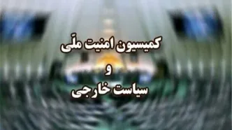 رفع ایرادات شورای نگهبان به طرح «تشدید مجازات جاسوسی» در کمیسیون امنیت ملی مجلس