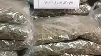 ایکس‌ری‌های گمرک گُل گرفتند؛ کشف مواد مخدر از بار فلفل دلمه‌ای