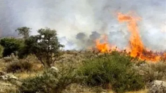 تش‌سوزی گسترده شیراز پس از ۲۲ ساعت مهار شد