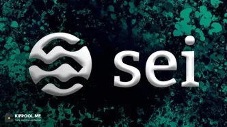 قیمت سی (SEI) در حال جهش است؛ چه عواملی پشت این رشد قرار دارند؟