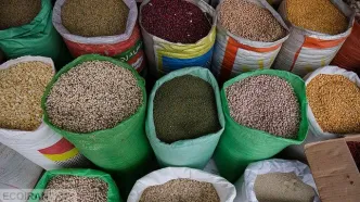 صادرات حبوبات تا اطلاع ثانوی ممنوع شد