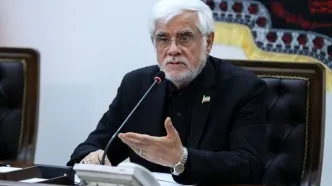 عارف: کاستی‌ها در بخش پدافندی باید جبران شود
