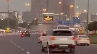 فیلم قدم زدن یک فلامینگو در وسط خیابان‌های دبی