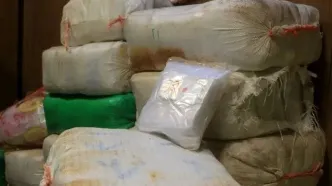«دیوانه کویر» به هلاکت رسید