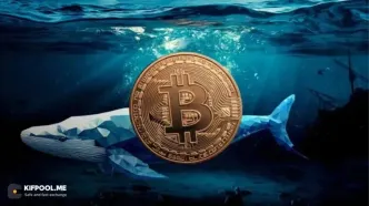 نهنگ‌ها بی‌سروصدا در حال خرید این آلت‌کوین‌ها هستند