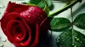 فال و طالع روزانه 24 تیر