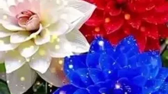 فال حافظ 30 تیر را بخوانید