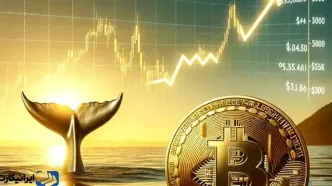بیت کوین رکورد جدید زد، نهنگ های اتریوم بازگشتند/ سیگنال ترامپ و ایلان ماسک به رمز ارزها
