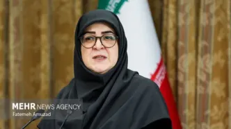 مهاجرانی: لایحه دولت برای فضای مجازی مانع آزادی بیان نیست