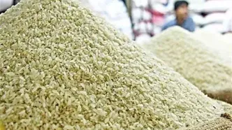 خشکسالی نیمی از برنج امسال را واردتی کرد