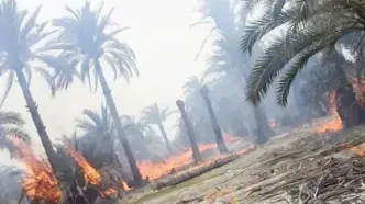 نخلستان‌های نیمی از روستاهای آبادان در آتش سوختند