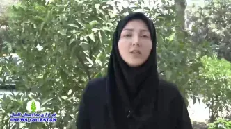 پیش بینی وضعیت آب و هوا گلستان فردا سه شنبه ۲۴ تیر ۱۴۰۴ + هواشناسی گرگان فردا
