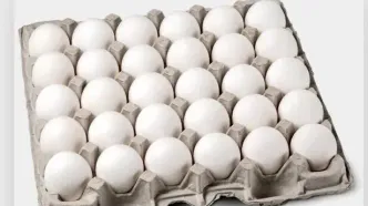 گرمای هوا، قیمت تخم مرغ را کاهش داد
