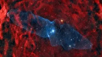 عکس روز ناسا از سحابی ماهی مرکب