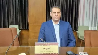 حیدری رئیس فدراسیون نجات غریق و غواصی شد