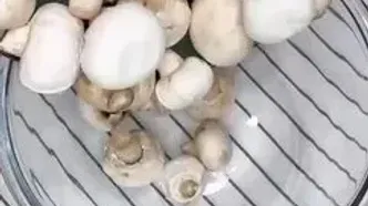 قارچ سوخاری مدل فست فودی