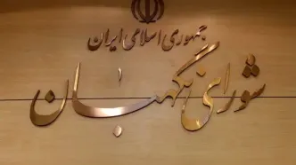 شورای نگهبان: طرح تشدید مجازات همکاری با رژیم صهیونیستی به مجلس برگشت خورد