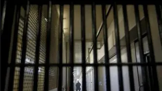 محسن امین زاده از زندان آزاد شد