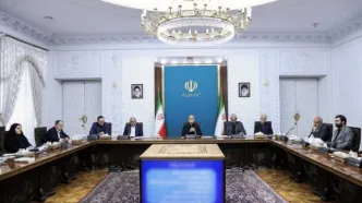 سرمایه‌گذاری‌های مشترک در مناطق آزاد رویکردی «برد ـ برد» برای طرفین داخلی و خارجی است