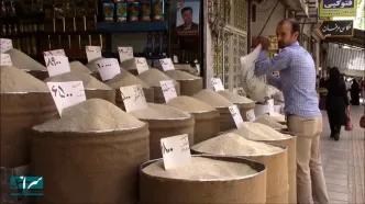 توزیع گسترده برنج ارزان قیمت در کشور