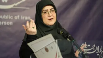 تکذیب اینترنت طبقاتی از سوی سخنگوی دولت