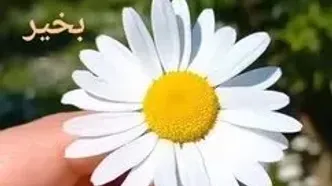 تفسیر دقیق فال حافظ امروز 23 تیر