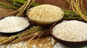 قیمت برنج ارزان می‌شود