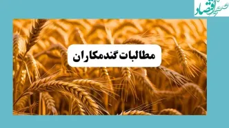 مطالبات گندمکاران کی پرداخت می‌شود؟ + آخرین خبرها