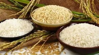 توزیع گسترده برنج ۵۶ تا ۷۰ هزار تومانی آغاز شد