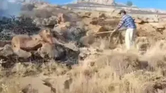 آتش‌سوزی در بخش‌هایی از پارک ملی تندوره