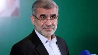 نائب رئیس مجلس: گروسی ‌دروغگو وابسته به رژیم صهیونیستی است