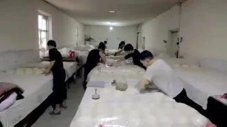 ببینید؛ غذای خیابانی در ازبکستان؛ پخت نان سنتی در تنورهای گِلی در شهر سمرقند