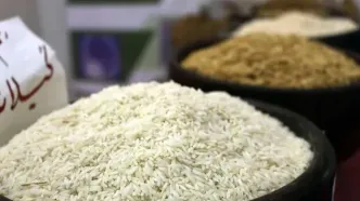 افزایش ۷۵ درصدی واردات برنج