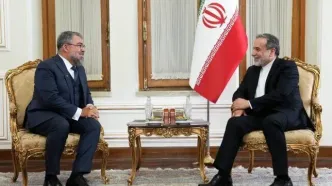 سفیر برزیل رونوشت استوارنامه خود را تسلیم عراقچی کرد