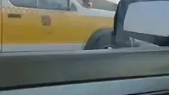 هندوانه ها وسط جاده آسفالت سبز شدند/ اتفاق عجیب در جاده خواجه اهر