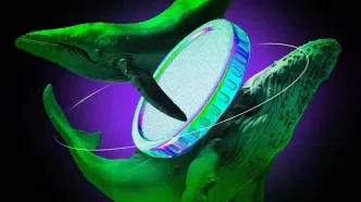 نهنگ‌ها در ماه جاری چه می‌خرند؟ بررسی رفتار سه رمزارز منتخب!