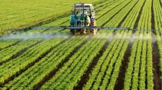 شاهکار ایران در کشاورزی / بهبود سه میلیارد دلاری رقم خورد