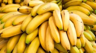 شرط و شروط گمرک برای واردات موز
