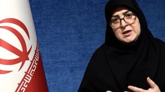 مهاجرانی: براساس منافع ملی درباره مذاکرات تصمیم می‌گیریم