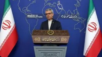 بقائی: نهادهای بین‌المللی در حال از دست‌ دادن مشروعیت، کارآمدی و رسالت خود هستند