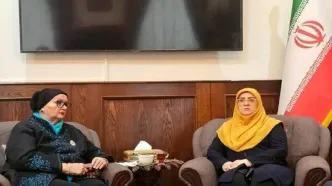 دیدار سخنگوی دولت ایران با وزیر خارجه پیشین بوسنی