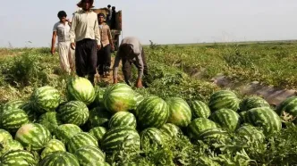 پیشنهاد جالب روزنامه کیهان برای حل بحران آب