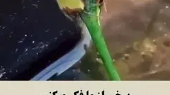 هنری که در رابطه کمتر بلدیم