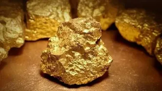 جزئیات پیش فروش قطعی انواع مسکوکات طلا