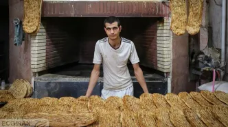 نان خشک گران‌تر از نان تازه؛ نتیجه قیمت‌گذاری دولتی
