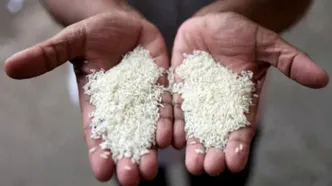 ترفند فروش برنج پاکستانی به اسم برنج ایرانی