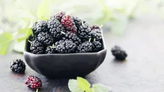 میوه ضد سرطان | دم‌نوش شاه توت برای تنظیم قند خون